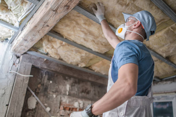 Best Insulation Installation Services in Ludowici, GA