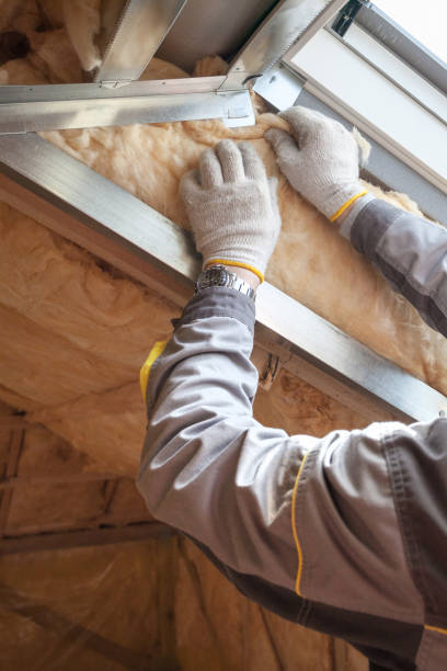  Ludowici, GA Insulation Contractor Pros
